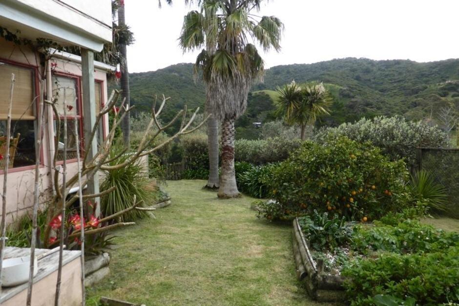 Great Barrier Oasis Lodge Tryphena Exterior foto